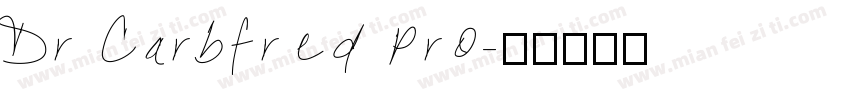 Dr Carbfred Pro字体转换
